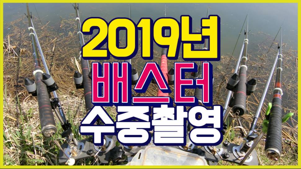 수중촬영 남한강 배스터의 대물 붕어들 (커뮤니티 - 낚시동영상)