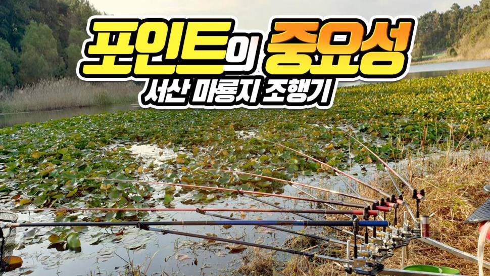 포인트의 중요성 (커뮤니티 - 낚시동영상)