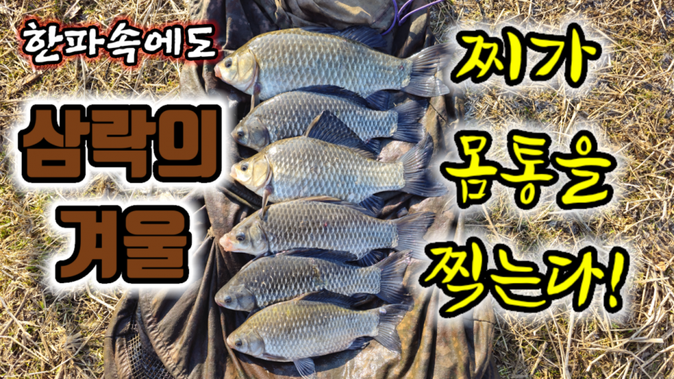 한파속에도 찌를 몸통까지 밀어주는 삼락수로 (커뮤니티 - 낚시동영상)
