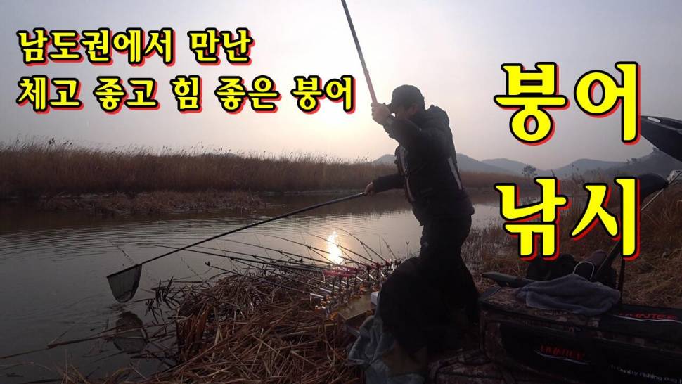 커뮤니티 > 낚시동영상 > 남도권에서 만난 체고 좋고 힘 좋은 붕어들