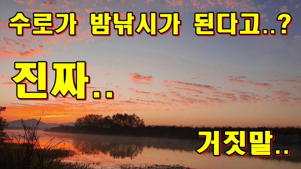 수로에서 밤낚시가 된다고 (커뮤니티 - 낚시동영상)