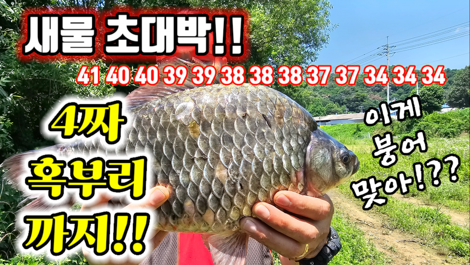 새물 초대박4짜 마릿수에 4짜 혹부리 까지 (커뮤니티 - 낚시동영상)