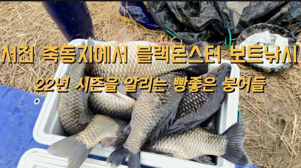 22년 시즌을 알리는 서천 축동지를 다녀왔습니다 (커뮤니티 - 낚시동영상)