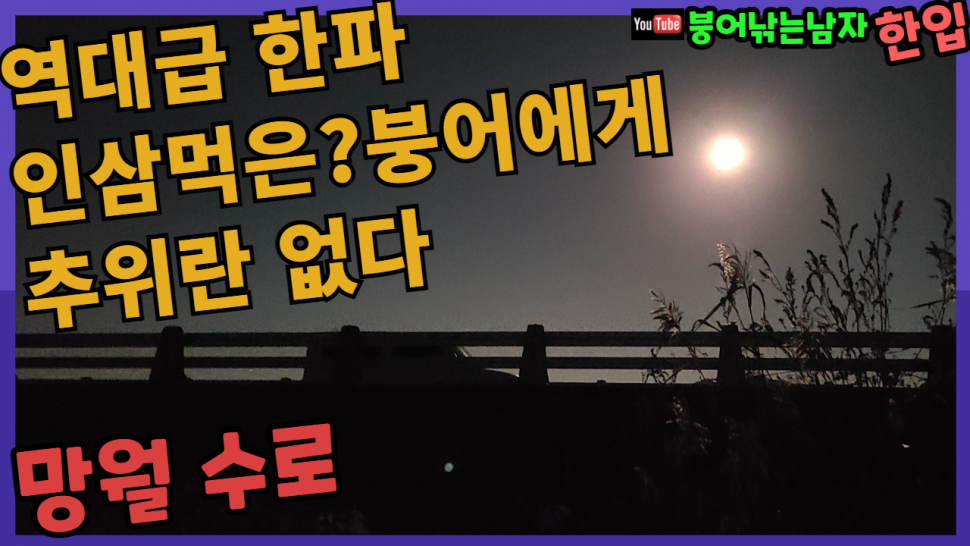 강화도의 인삼먹은 붕어들 (커뮤니티 - 낚시동영상)