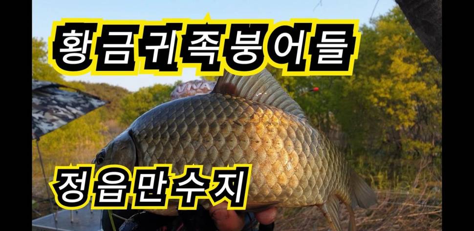 커뮤니티 > 낚시동영상 > [붕어타짜] 정읍만수지