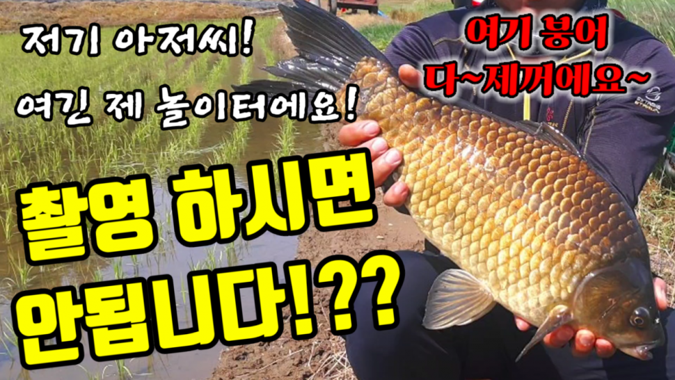 경북 성주권 전북권 대물터 포인트 공개합니다 (커뮤니티 - 낚시동영상)