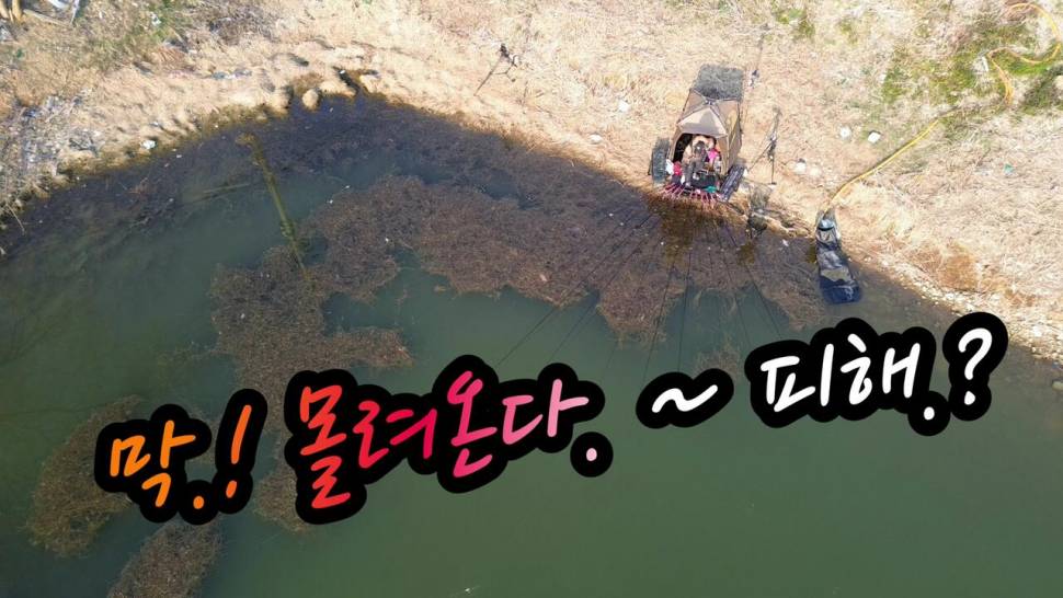뽑고뽑고 계속 뽑고 (커뮤니티 - 낚시동영상)