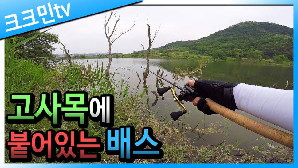 산란 후 노싱커 배스낚시 상주 야마데스2 스페셜 (커뮤니티 - 낚시동영상)