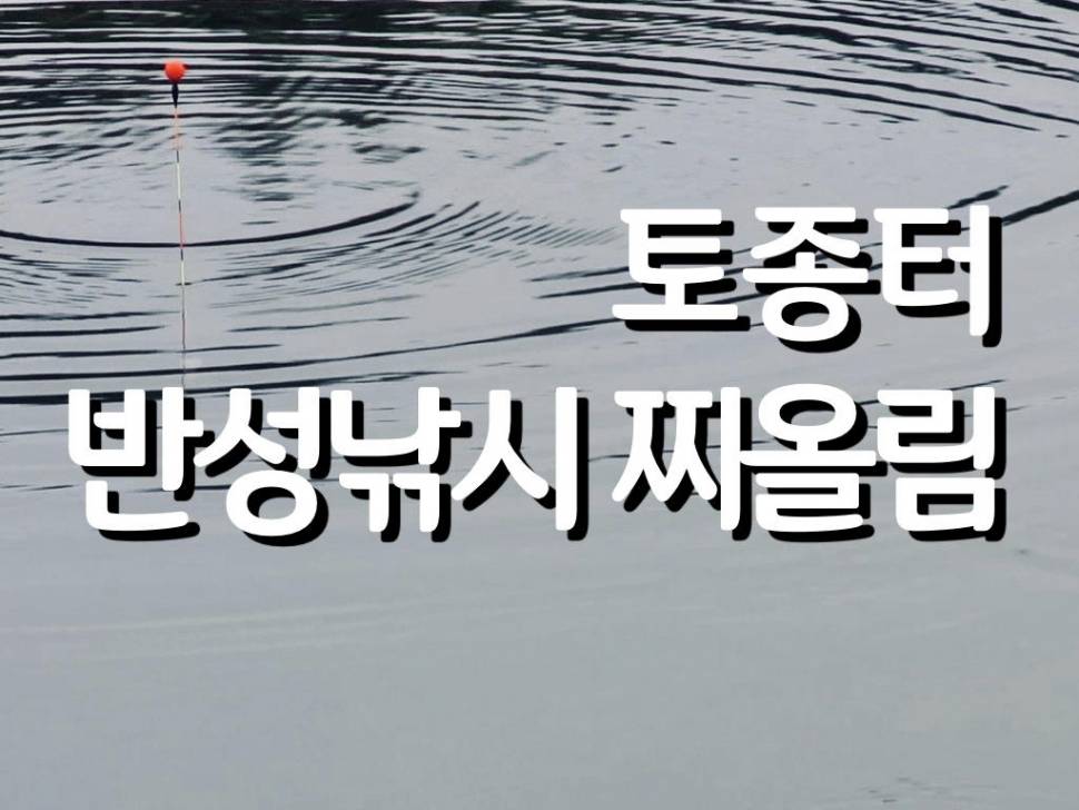 토종터 반성낚시 찌올림 (커뮤니티 - 낚시동영상)