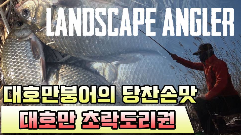 풍낚붕어낚시민물낚시 대호만 초락도리 붕어의 당찬손맛 (커뮤니티 - 낚시동영상)