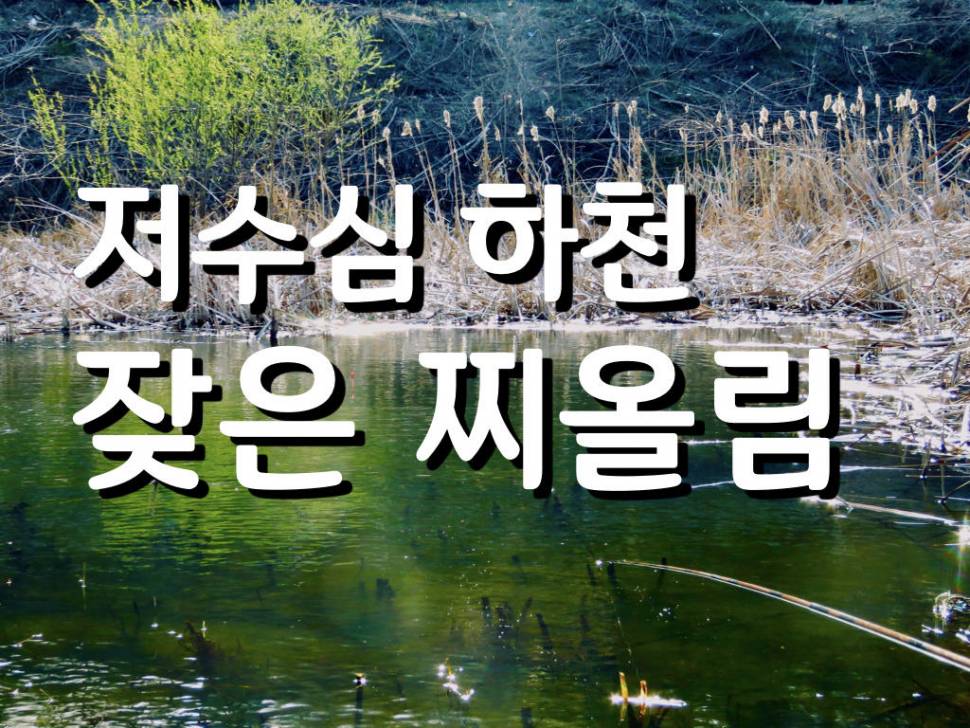 안성천 최상류 찌올림 (커뮤니티 - 낚시동영상)