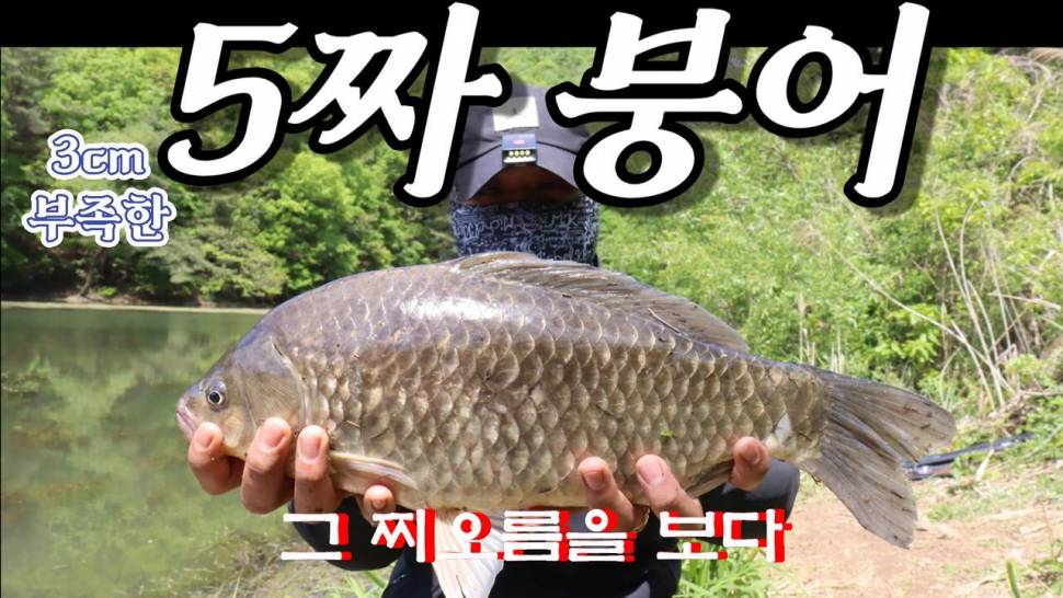 진천 옥산지 대물붕어 (커뮤니티 - 낚시동영상)