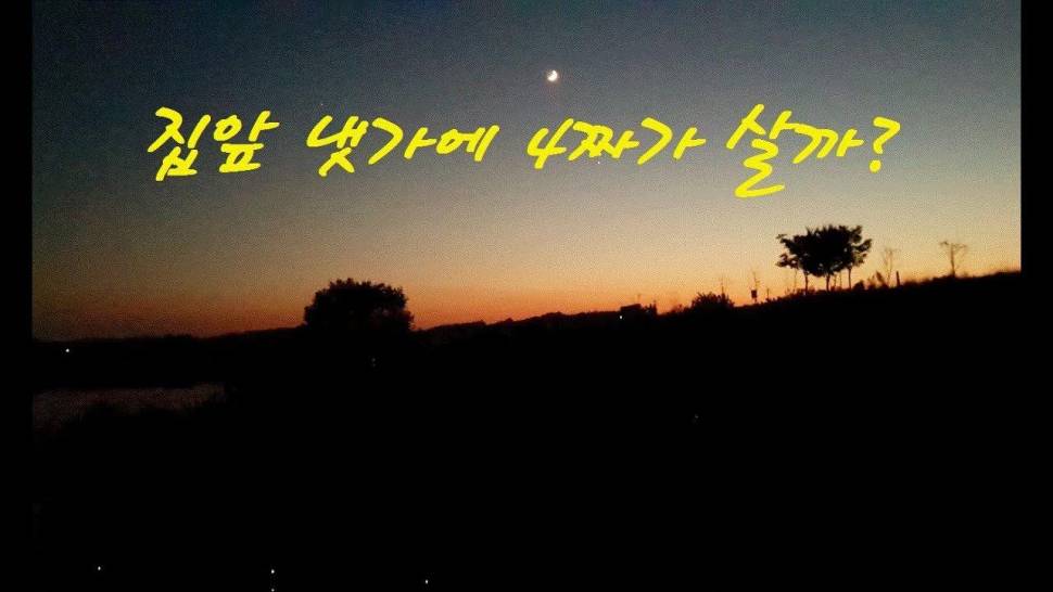 집앞 냇가에 4짜가 살까 1편 (커뮤니티 - 낚시동영상)
