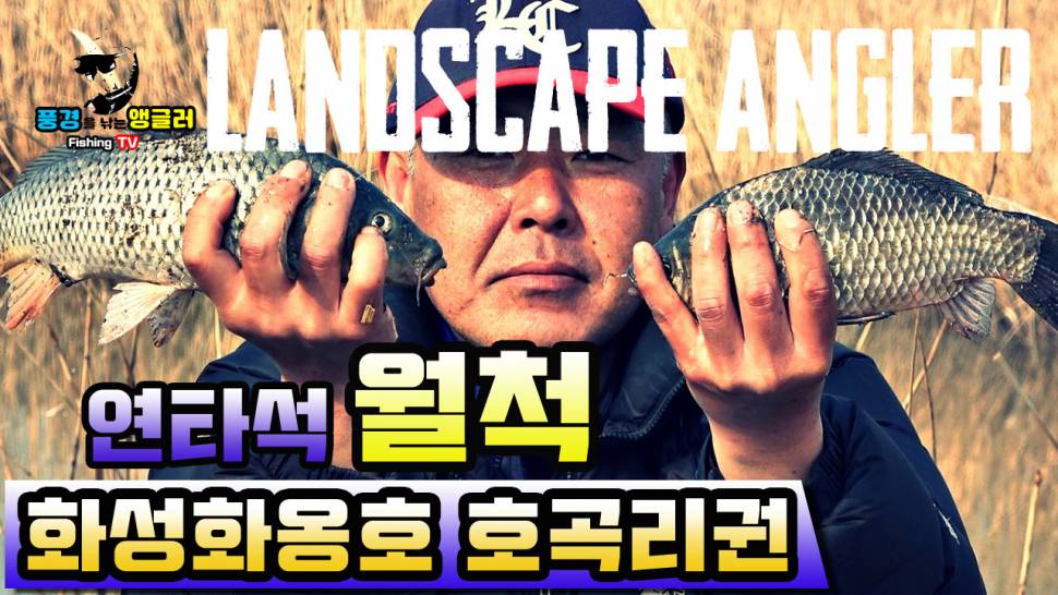 풍경을 낚는 앵글러붕어낚시토종붕어낚시대물낚시민물낚시월척낚시동영상낚시영상 화옹호에서 연타석월척 (커뮤니티 - 낚시동영상)