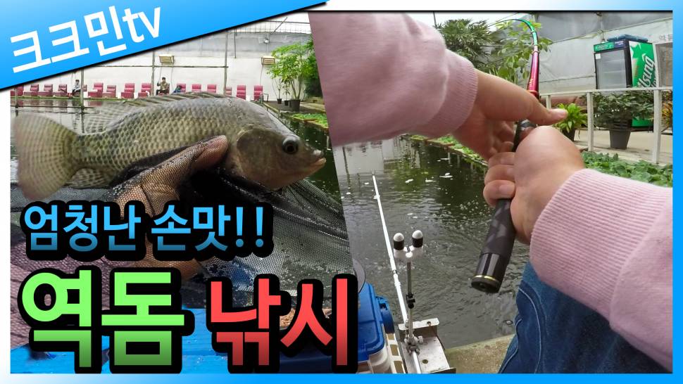 역돔 낚시슬로프 채비 설동낚시터 하우스 (커뮤니티 - 낚시동영상)