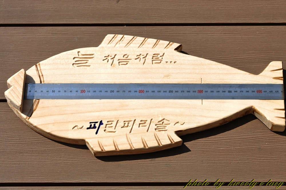 계측자 2 (사용기강좌 - 나의낚시장비)