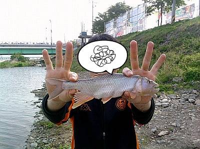 글라스대 낚시꾼 여러분 자긍심을 가집시다 (사용기강좌 - 나의낚시장비)