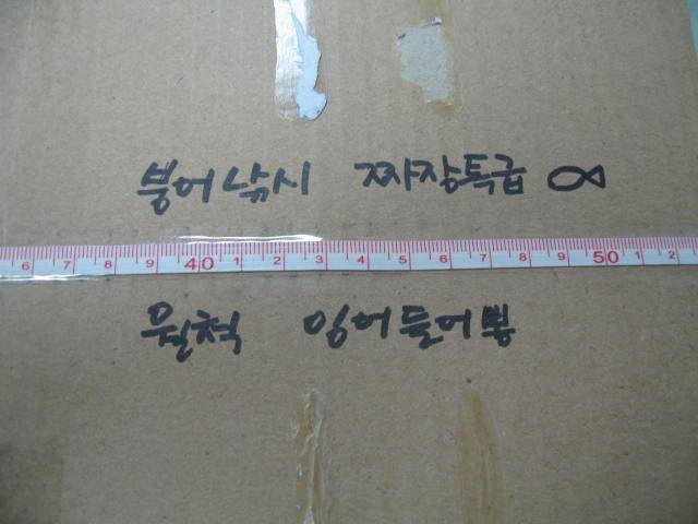 2분 자작 계측자 (사용기강좌 - 나의낚시장비)