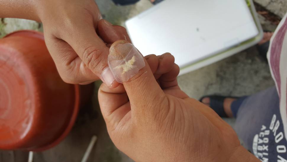 차도 낚시장비라지요 (사용기강좌 - 나의낚시장비)