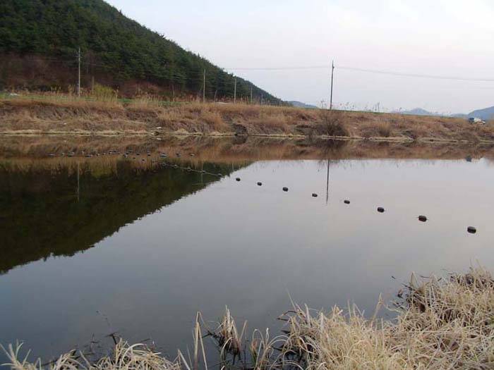 흉물스런 불법 정치망을 신고합시다 (커뮤니티 - 낚시터환경개선)