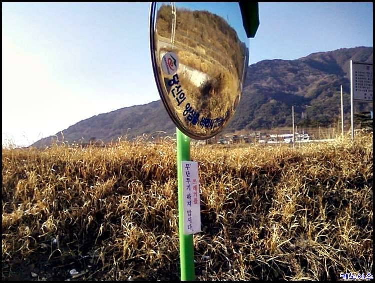 마음이 아프네요 (커뮤니티 - 낚시터환경개선)