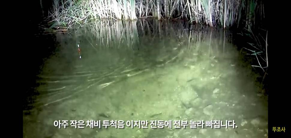 낚시에 소음은 영향을 줄까 테스트 결과 (커뮤니티 - 낚시터환경개선)