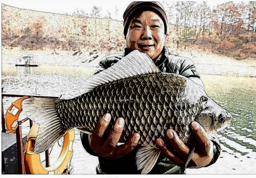 신매낚시터 7월 30일조황 (조황조행기 - 충주호조황속보)