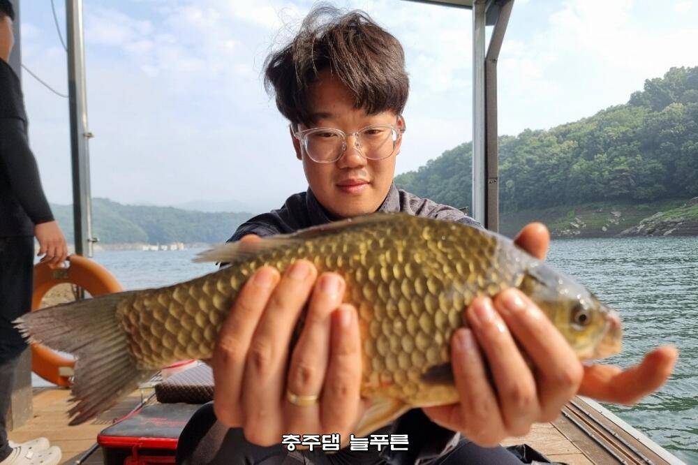 늘푸른낚시터 한바탕소동 (조황조행기 - 충주호조황속보)