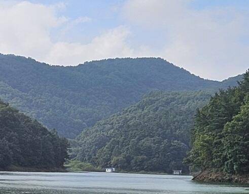 청풍신리낚시터 4짜 조황입니다 (조황조행기 - 충주호조황속보)