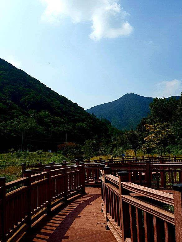 호숫가 가을산책 (조황조행기 - 충주호조황속보)