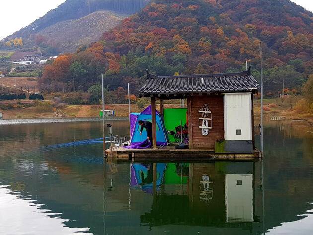 ★★★ 추워질수록 4짜를 유혹한다 ★★★ (조황조행기 - 충주호조황속보)
