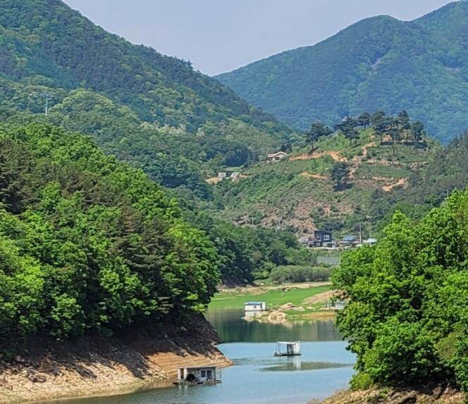 청풍신리낚시터 조황정보입니다 (조황조행기 - 충주호조황속보)