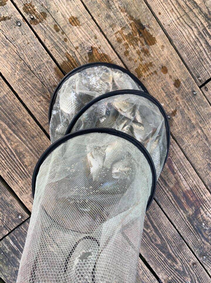 충주호 짱가네낚시터 (조황조행기 - 충주호조황속보)