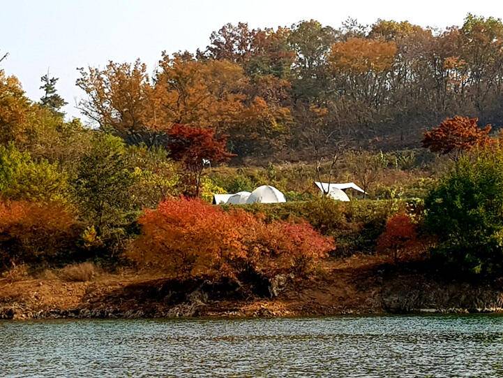 ★★★ 단풍구경에 4짜를 ★★★ (조황조행기 - 충주호조황속보)