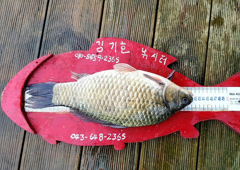 ★★★ 오름수위에 서막 4짜의 행진 ★★★ (조황조행기 - 충주호조황속보)