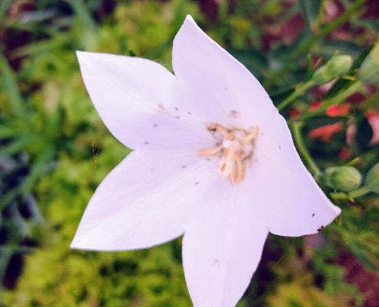 ★★★ 악천후에도 연이어지는 4짜들에 행진 ★★★ (조황조행기 - 충주호조황속보)