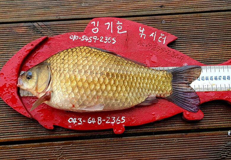 ★★★ 악천후에도 연이어지는 4짜들에 행진 ★★★ (조황조행기 - 충주호조황속보)
