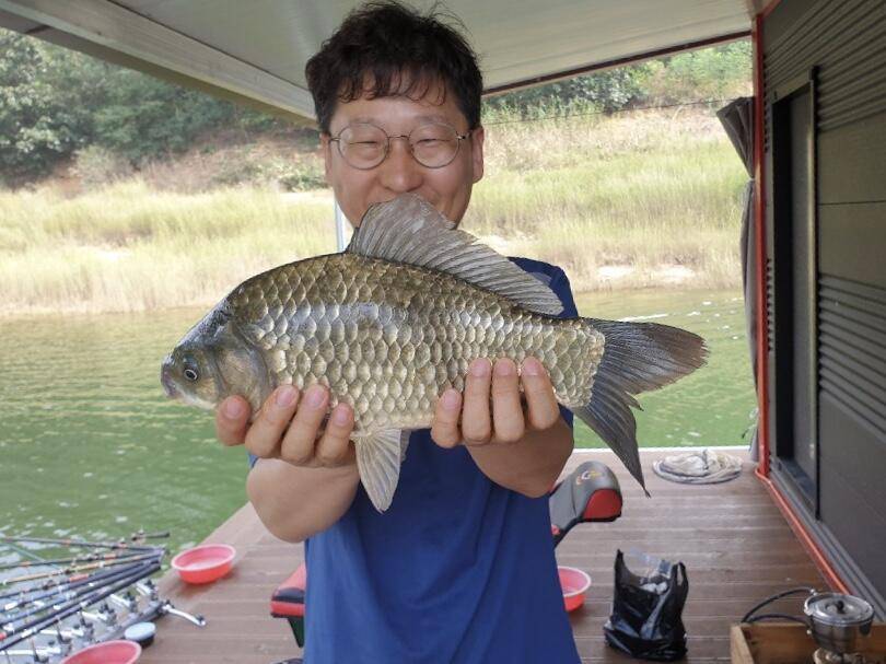 솔낚시터의 주중 조황소식입니다 (조황조행기 - 충주호조황속보)