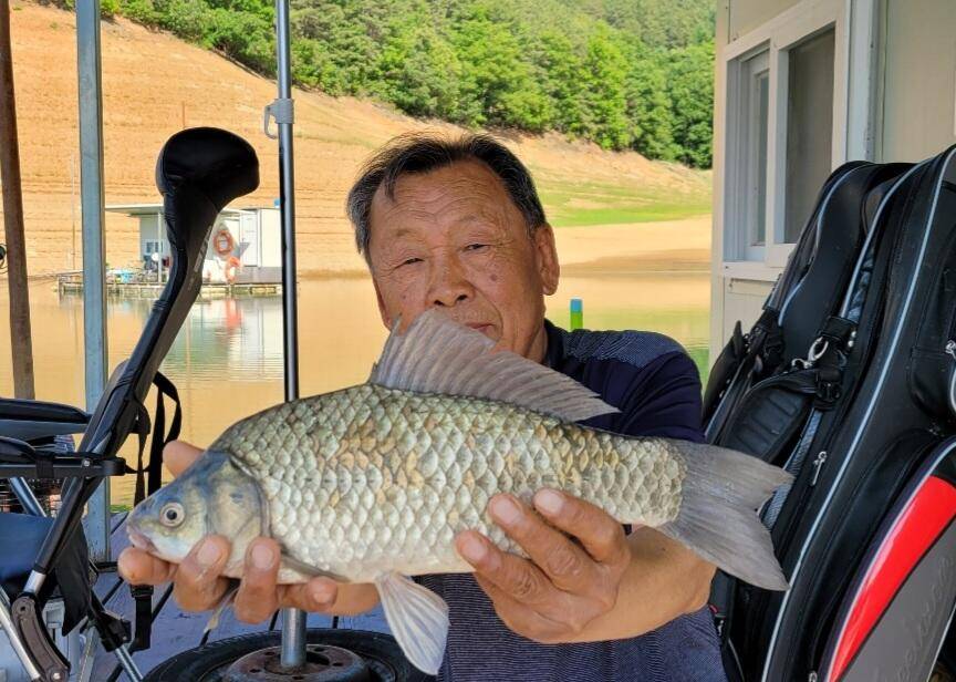 청풍신리낚시터 425cm 조황입니다 (조황조행기 - 충주호조황속보)