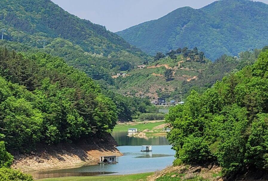 청풍신리낚시터 4짜외 허리급 마릿수입니다 (조황조행기 - 충주호조황속보)