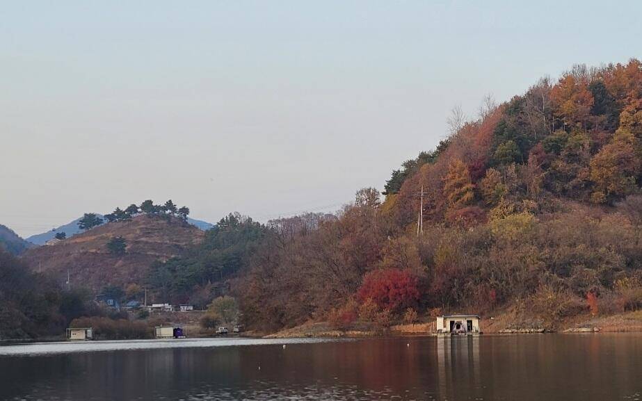 청풍신리낚시터 조황입니다 (조황조행기 - 충주호조황속보)