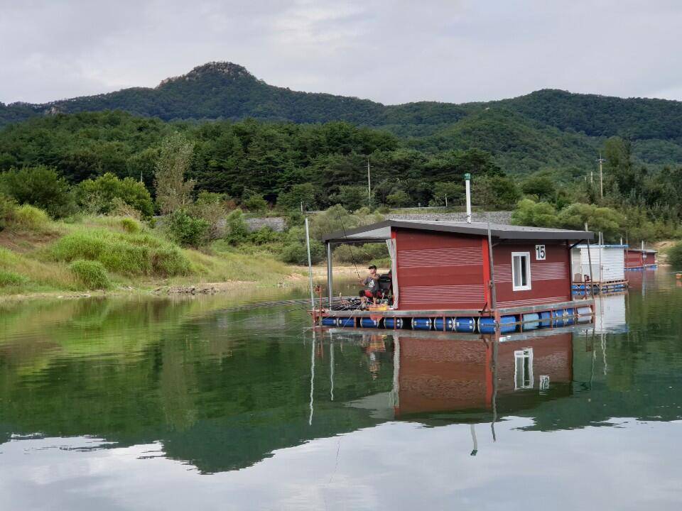 솔낚시터 4짜 조황소식 입니다 (조황조행기 - 충주호조황속보)