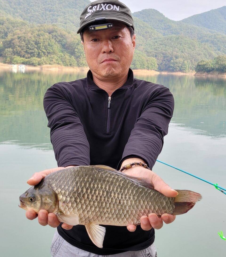 실리곡낚시터 허리급 조황입니다 (조황조행기 - 충주호조황속보)