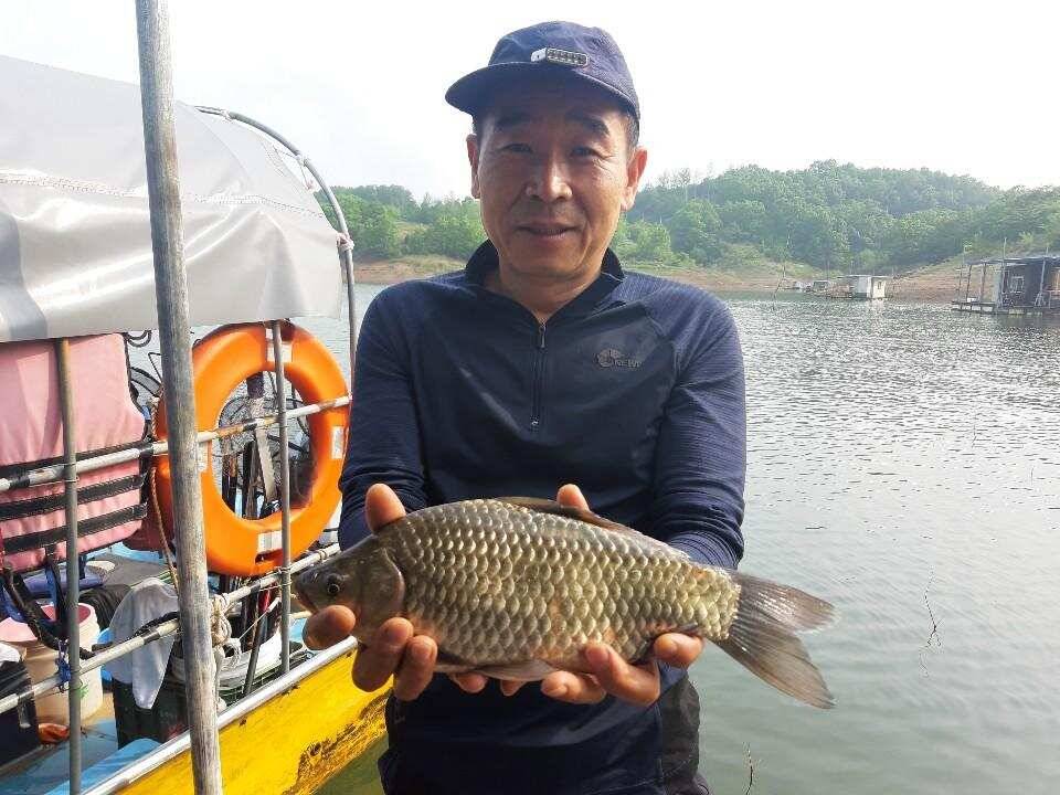 돌감낚시터 조황입니다 (조황조행기 - 충주호조황속보)