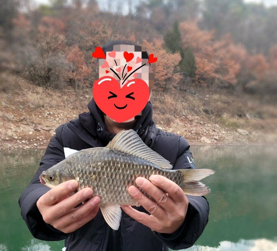 실리곡낚시터 조황입니다 (조황조행기 - 충주호조황속보)