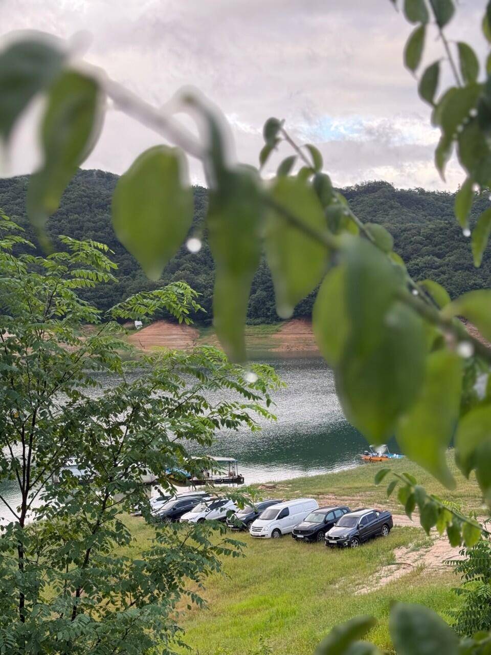 솔낚시터 오름수위 사짜 조황소식입니다 (조황조행기 - 충주호조황속보)
