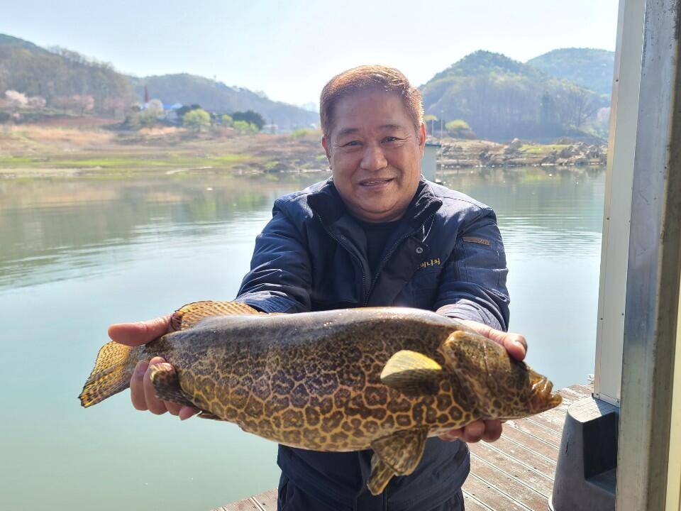 청풍신리낚시터 허리급 조황입니다 (조황조행기 - 충주호조황속보)