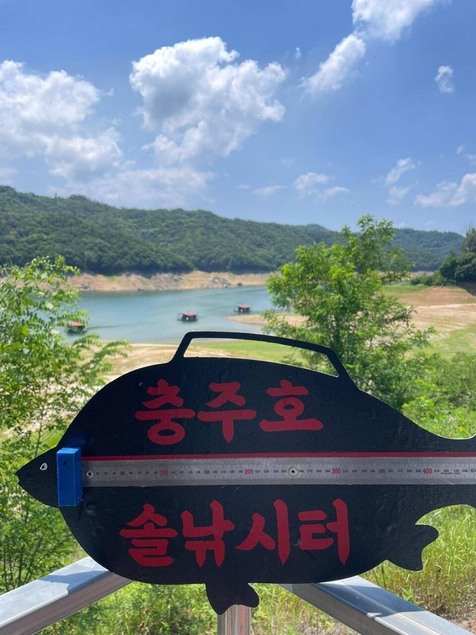 솔낚시터 사짜 및 허릿급 월척 소식입니다 (조황조행기 - 충주호조황속보)