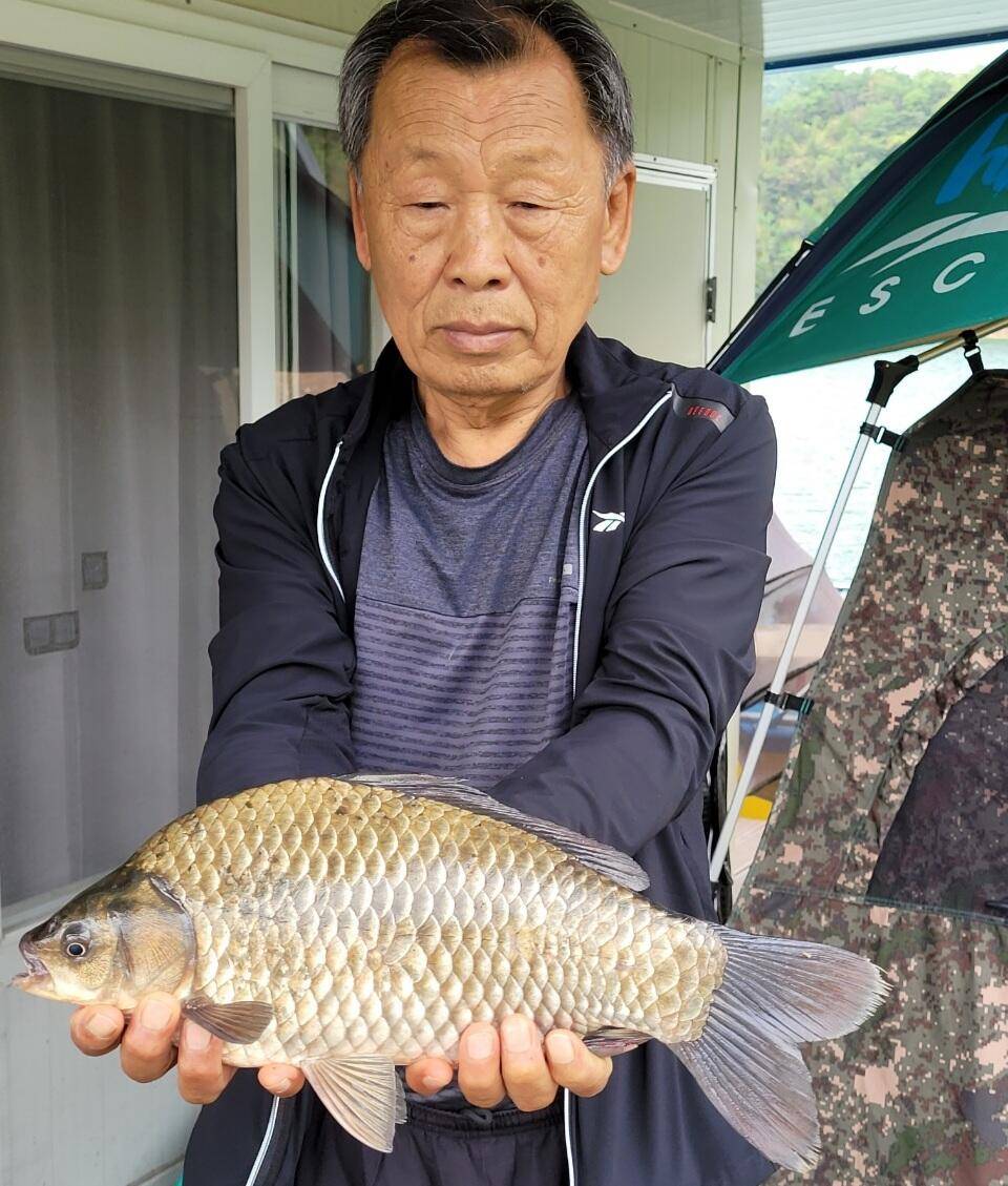 실리곡낚시터 415cm 조황입니다 (조황조행기 - 충주호조황속보)