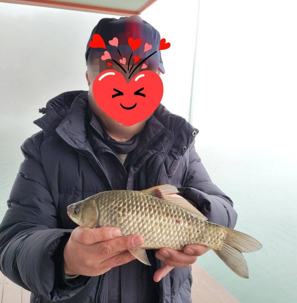 실리곡낚시터 허리급 조황입니다 (조황조행기 - 충주호조황속보)